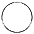 SPANK 359 Rim,32H,29" | Karmanow