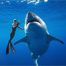 XCEL Women Comp 4/3  Full Wetsuit | Karmanow