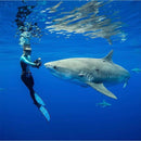 XCEL Mens Comp 4/3mm Full Wetsuit Mens | Karmanow