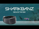 Sharkbanz 2